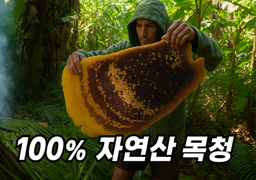 업체이미지